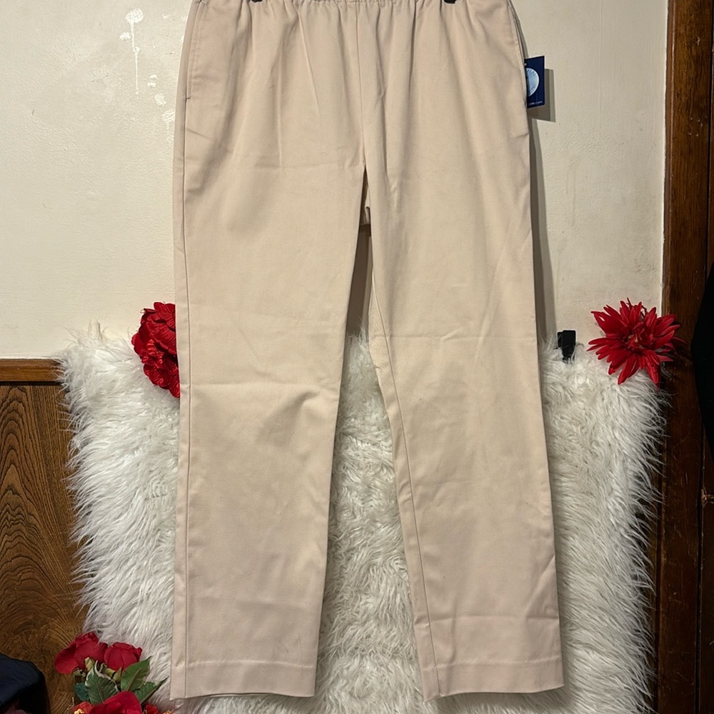 Leo Levin 12petite pull up Pant